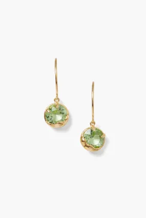 August Birthstone Earrings Peridot Crystal