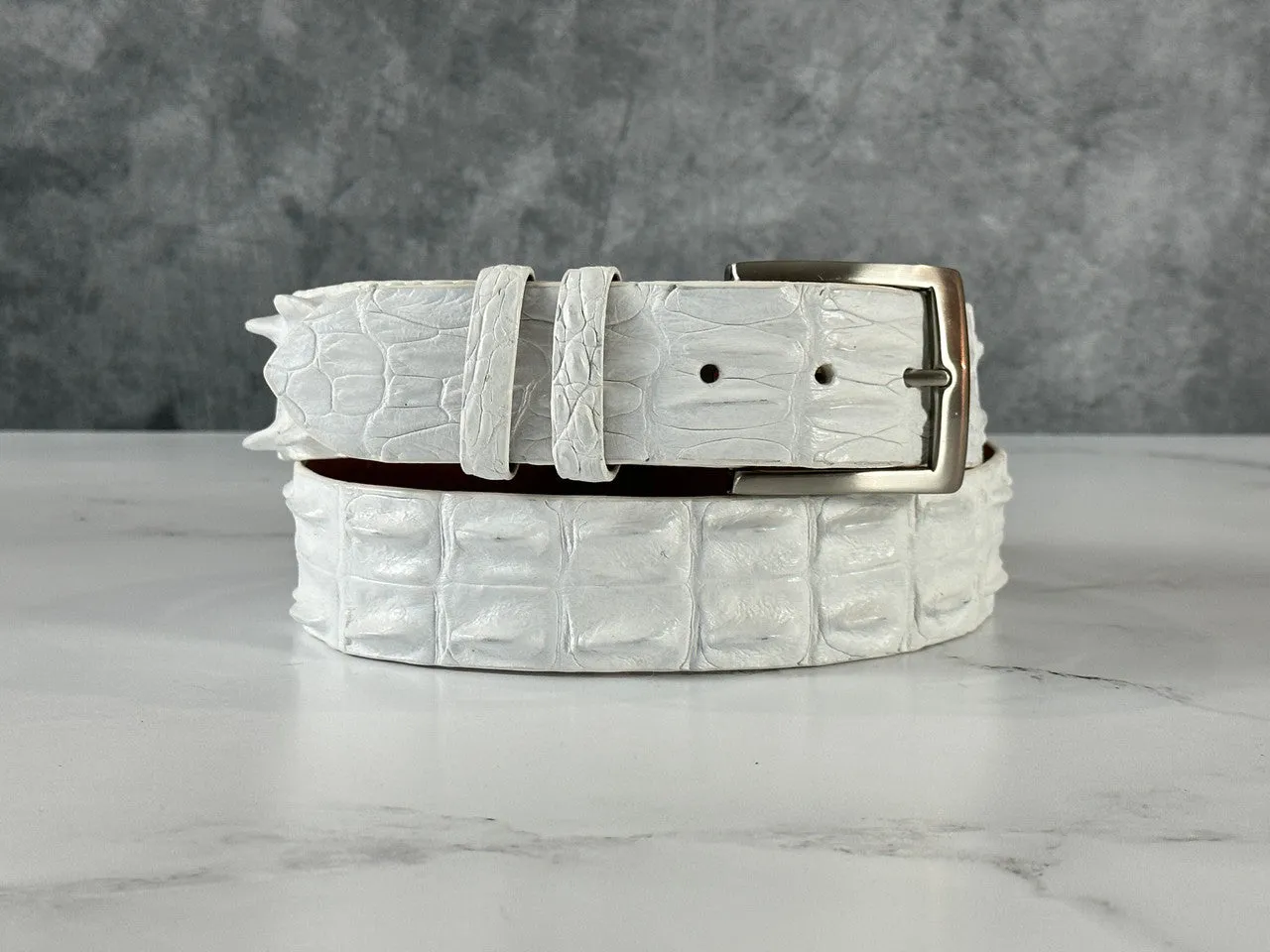 Saltwater Crocodile Belt: White